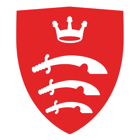UAE Flag