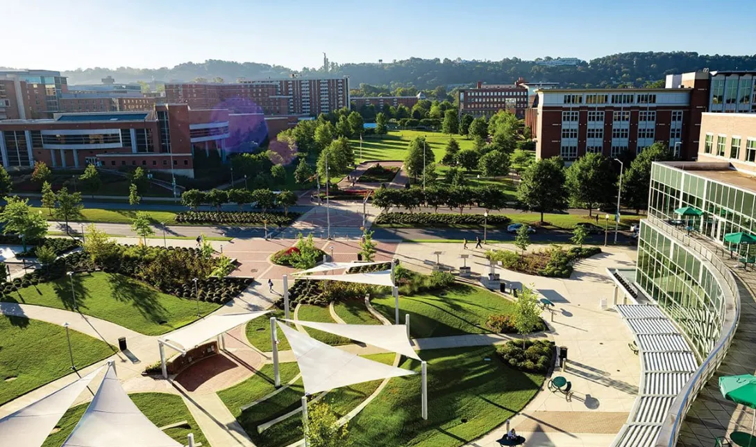 University of  Alabama Birmingham