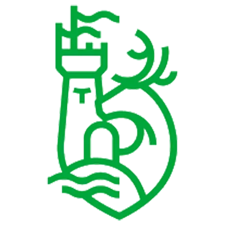 IRELAND Flag